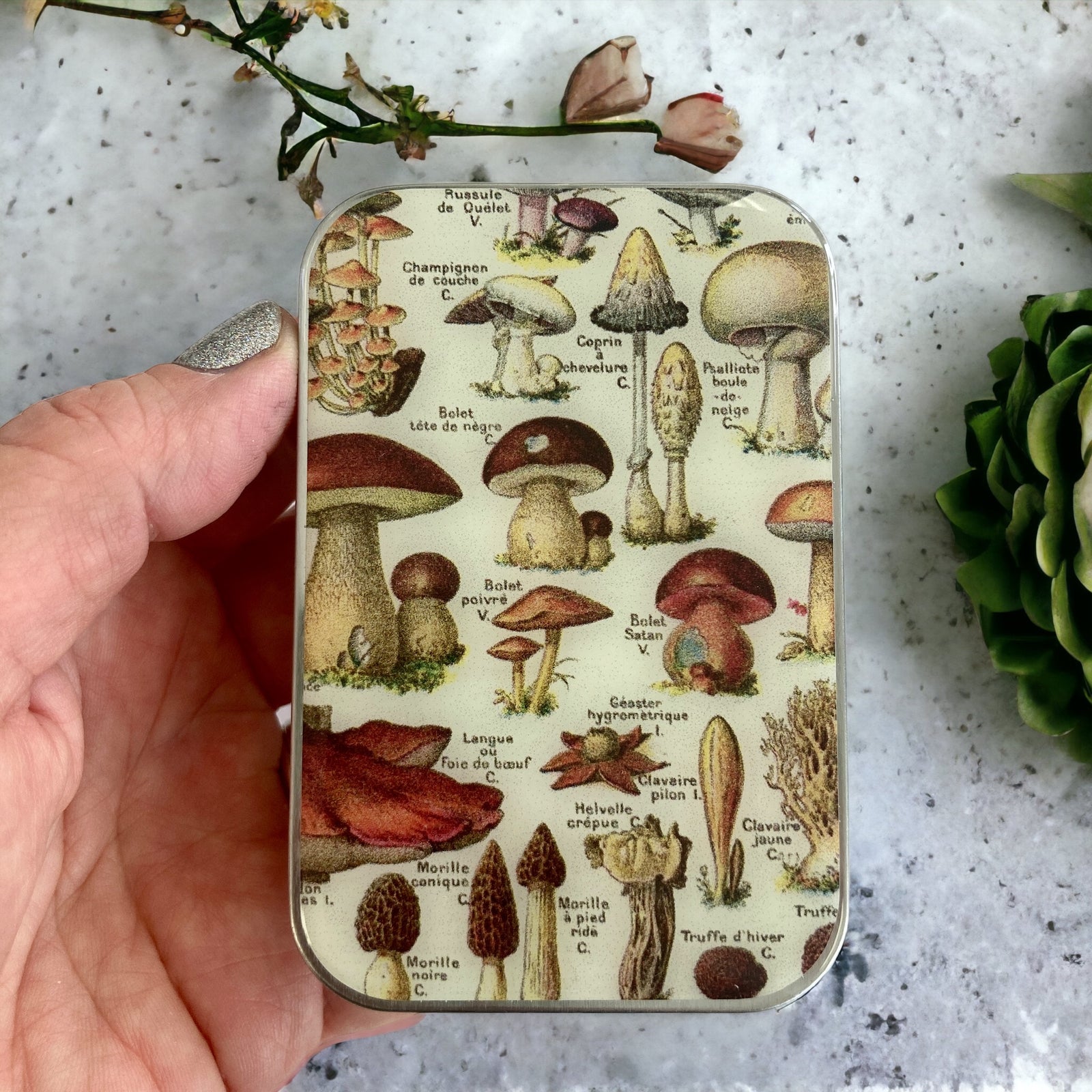 Mushroom notions tin