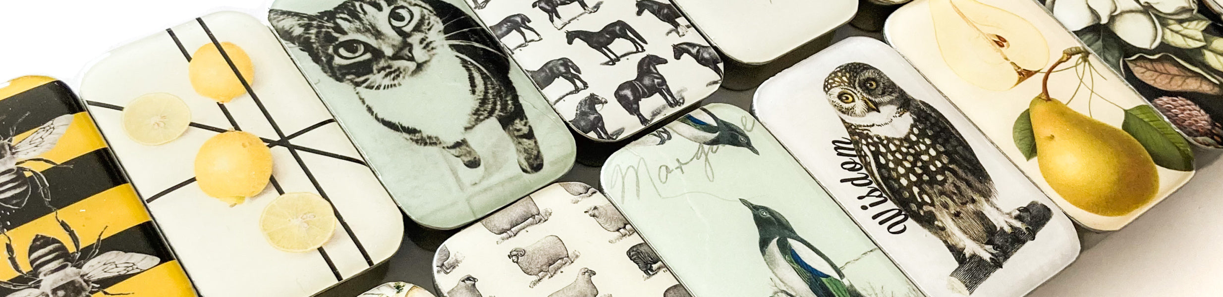 Firefly Notes Retail