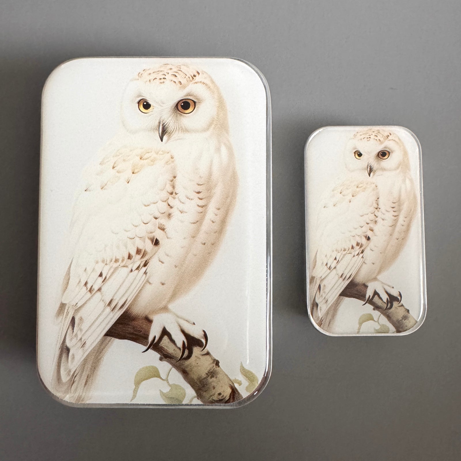 Snowy Owl Notions Tin