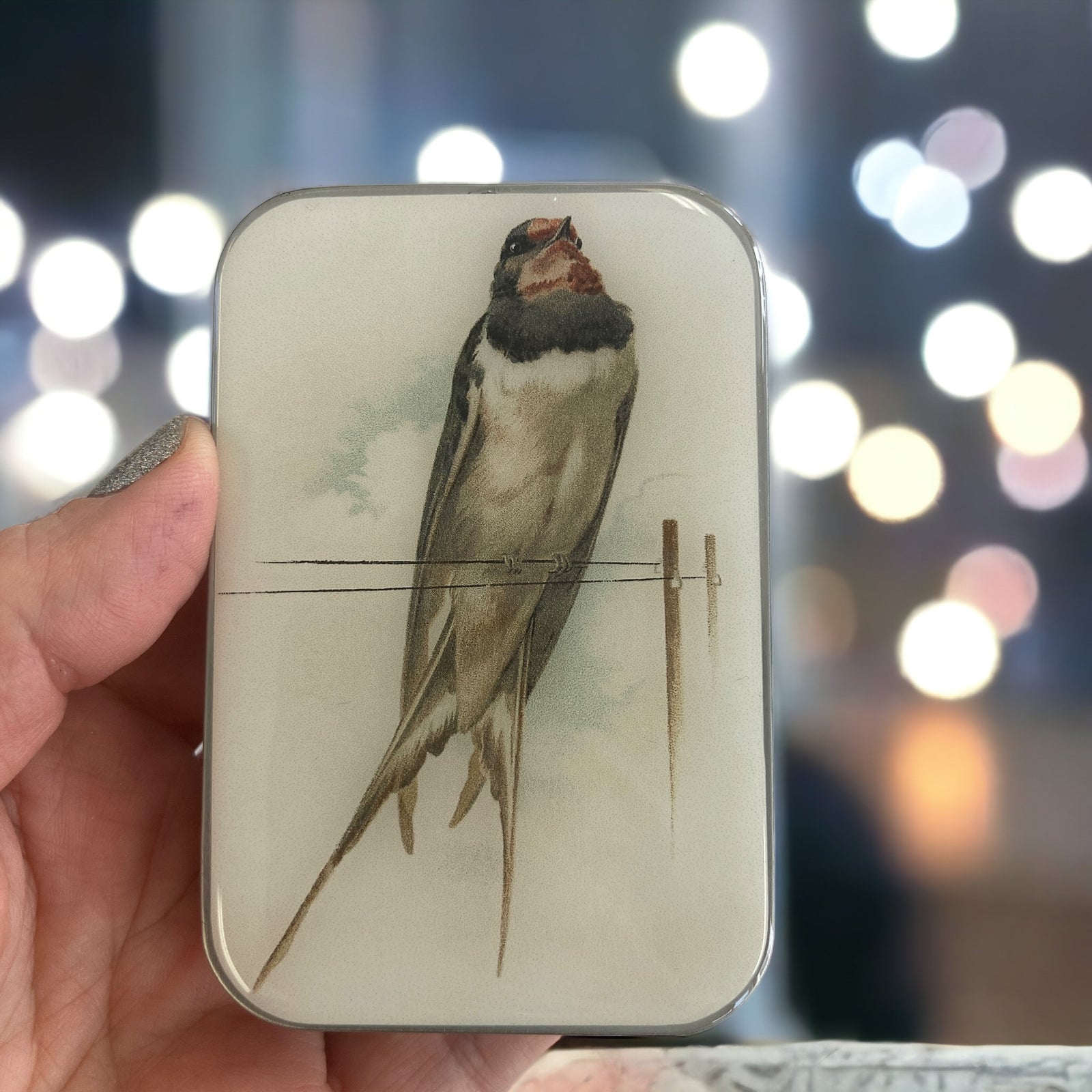 Handcrafted Vintage French Swallow Notions Tin
