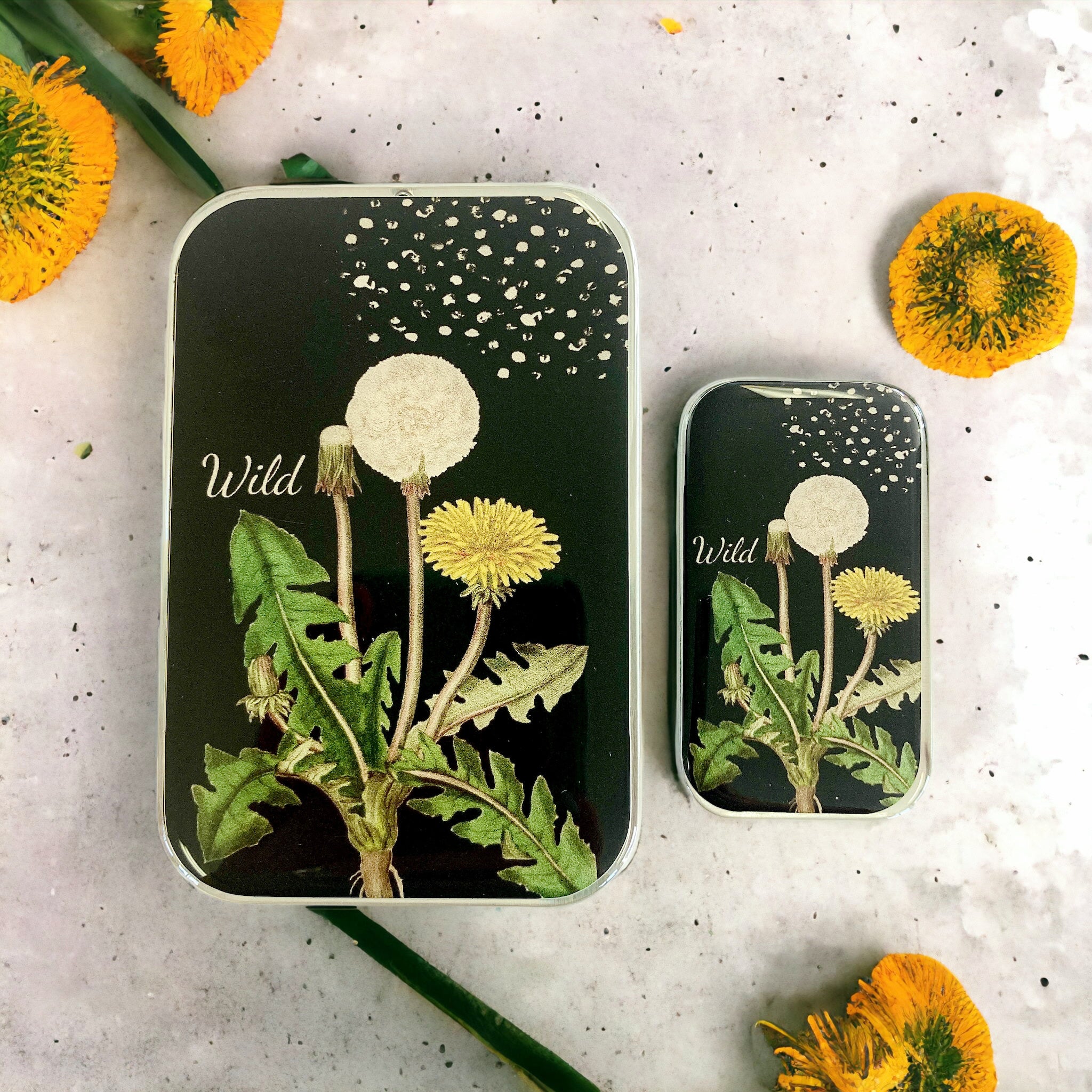 Dandelion Sticky Notes Dandelion notions tin - Firefly Notes