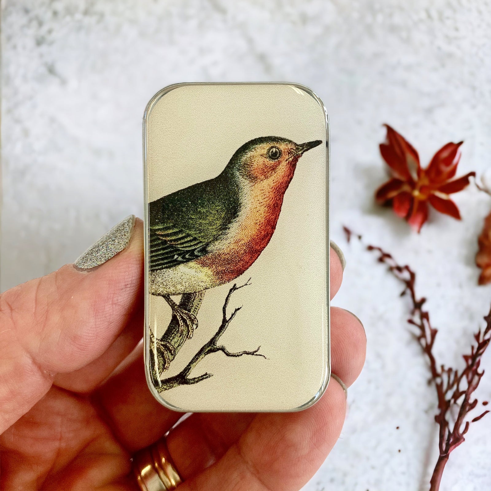 Robin notions tin (020)
