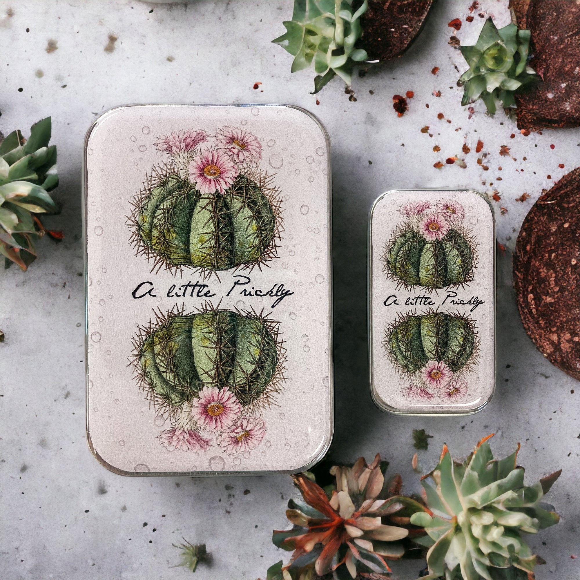 Cactus storage tin