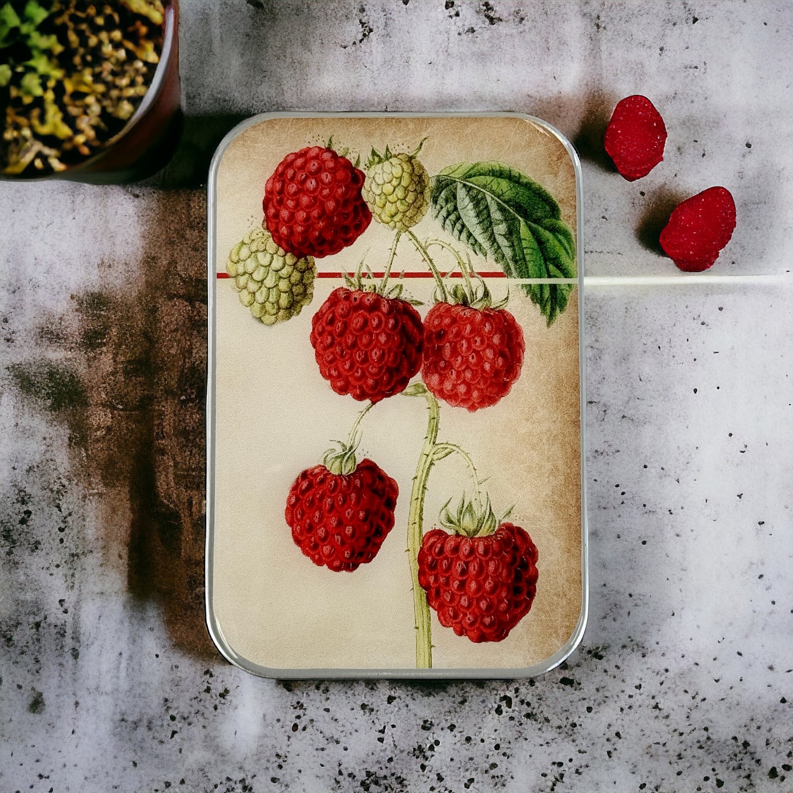 Raspberry notions tin