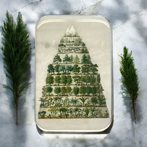 🌿 Nature Meets Nostalgia - Collectible Tin 🌿