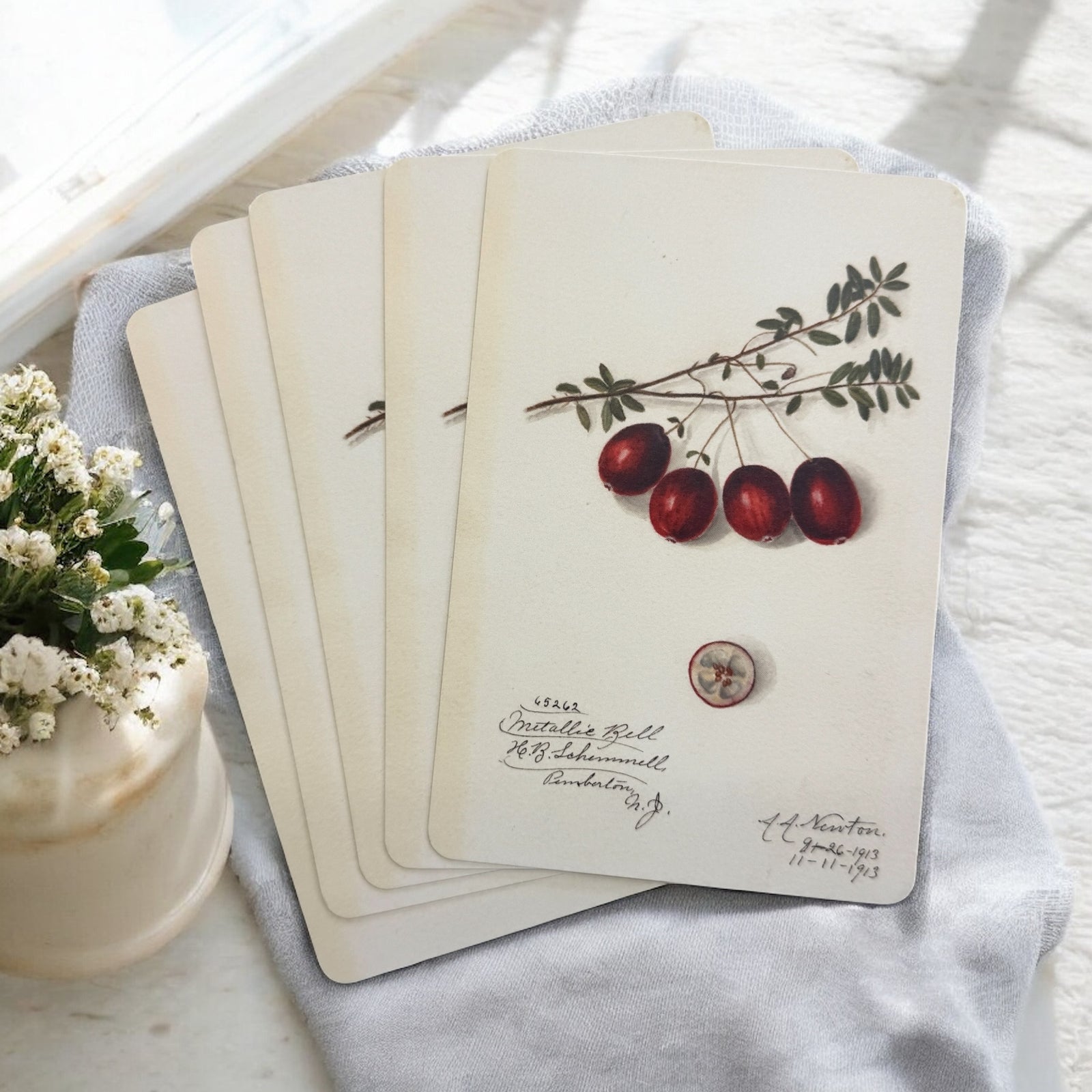 Vintage Botanical Project Goal Cards – Set of 5