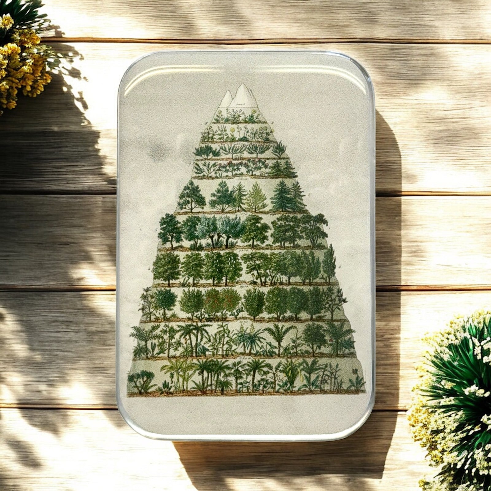 Nature Meets Nostalgia Notions Tin