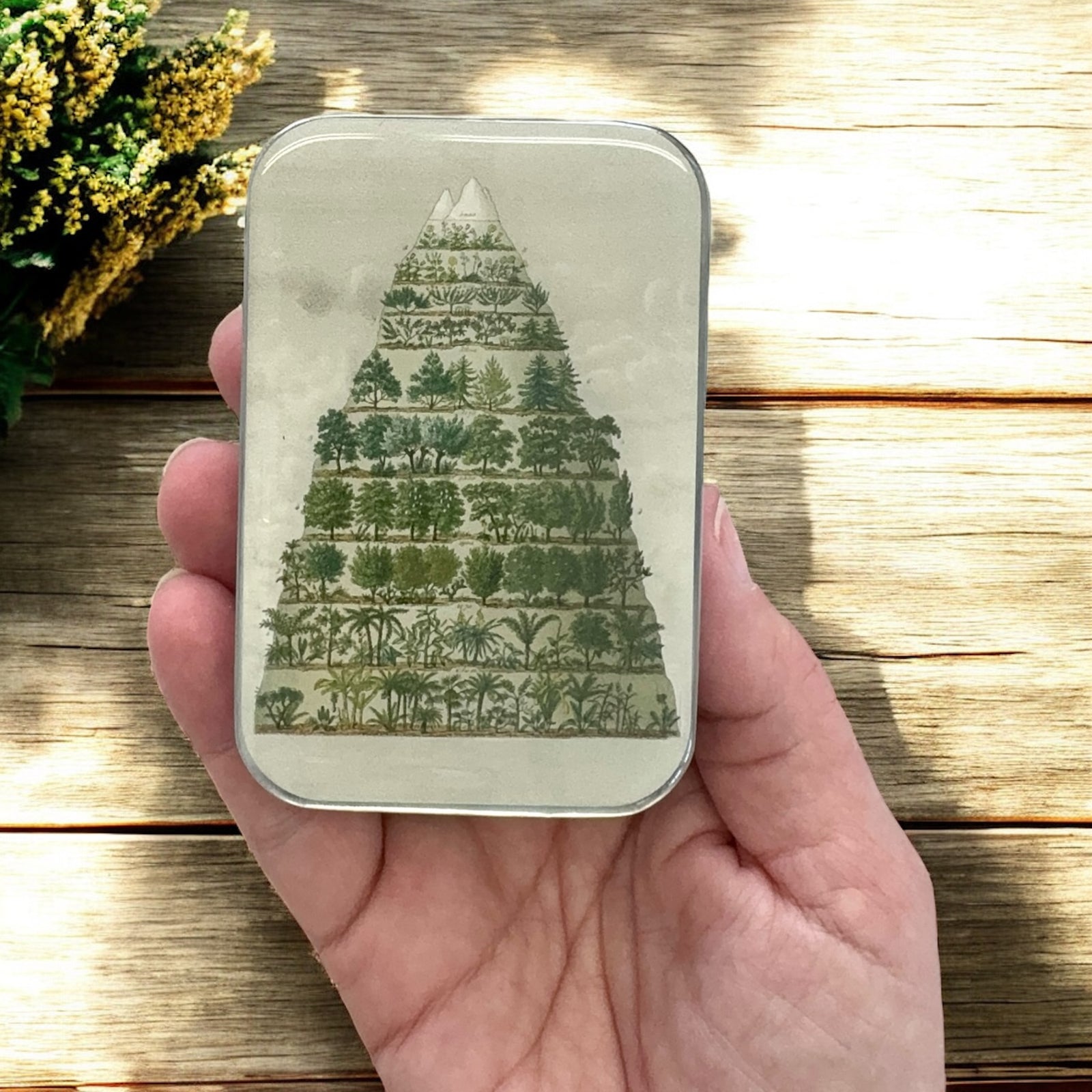 Tree  Notions tin/ case