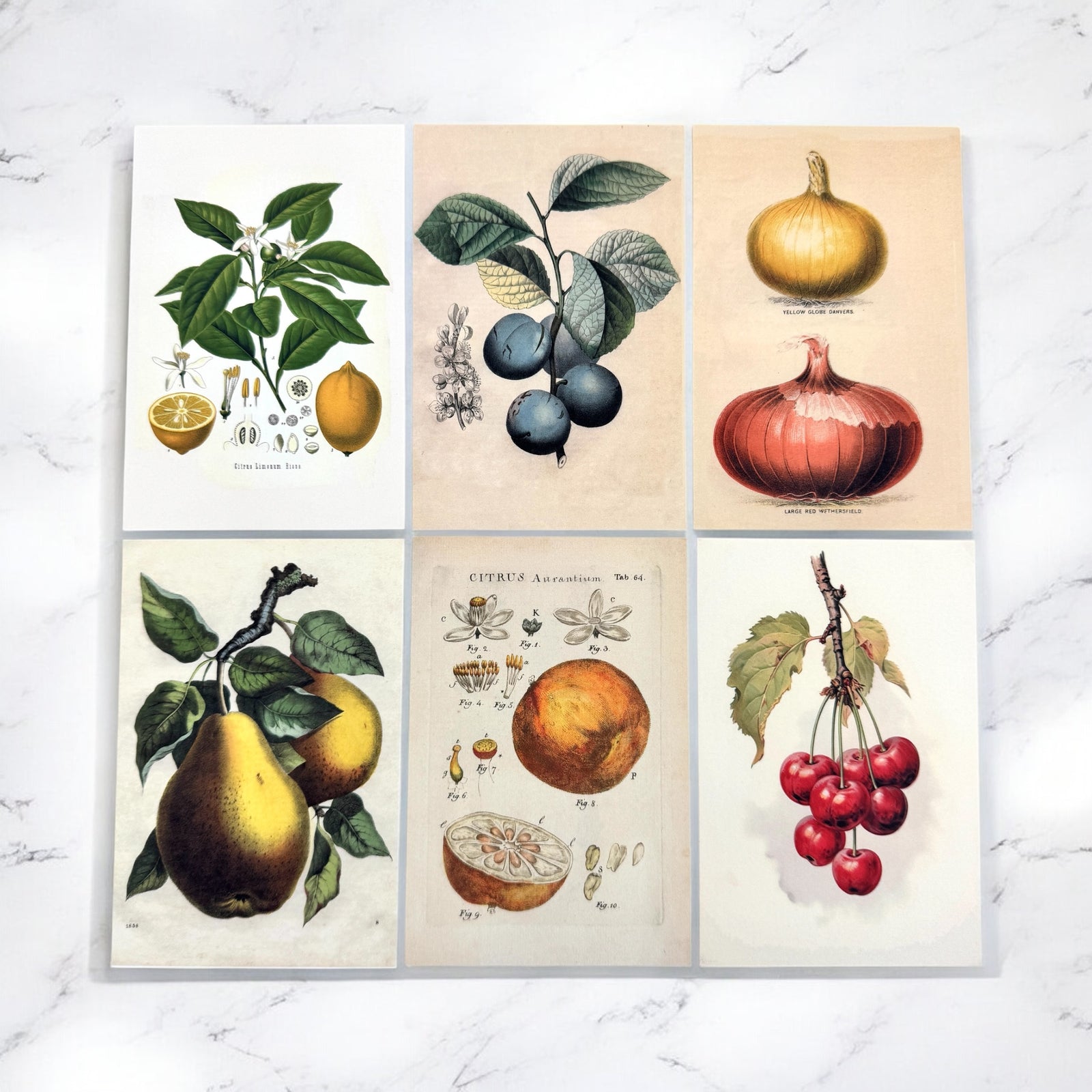 Botanical Recipe Card Set — 12 Blank Cards + Banana Bread Recipe