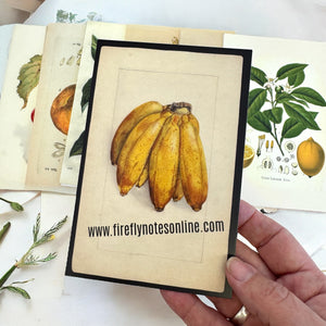 Botanical Recipe Card Set — 12 Blank Cards + Banana Bread Recipe