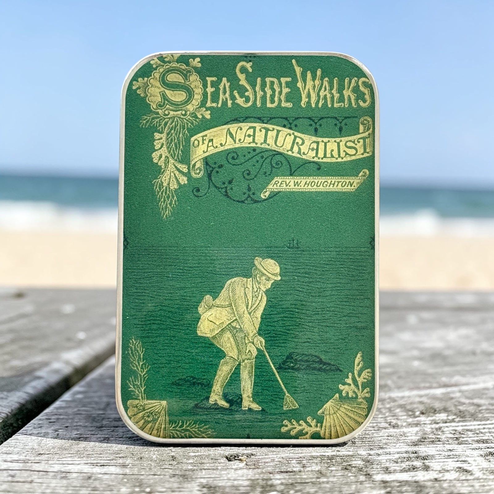 The Seaside Naturalist Notions Tin