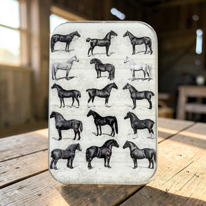Study of Horses Notions Tin