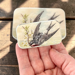 Spring Swallow Notions Tin