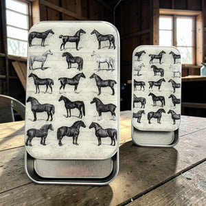 Study of Horses Notions Tin