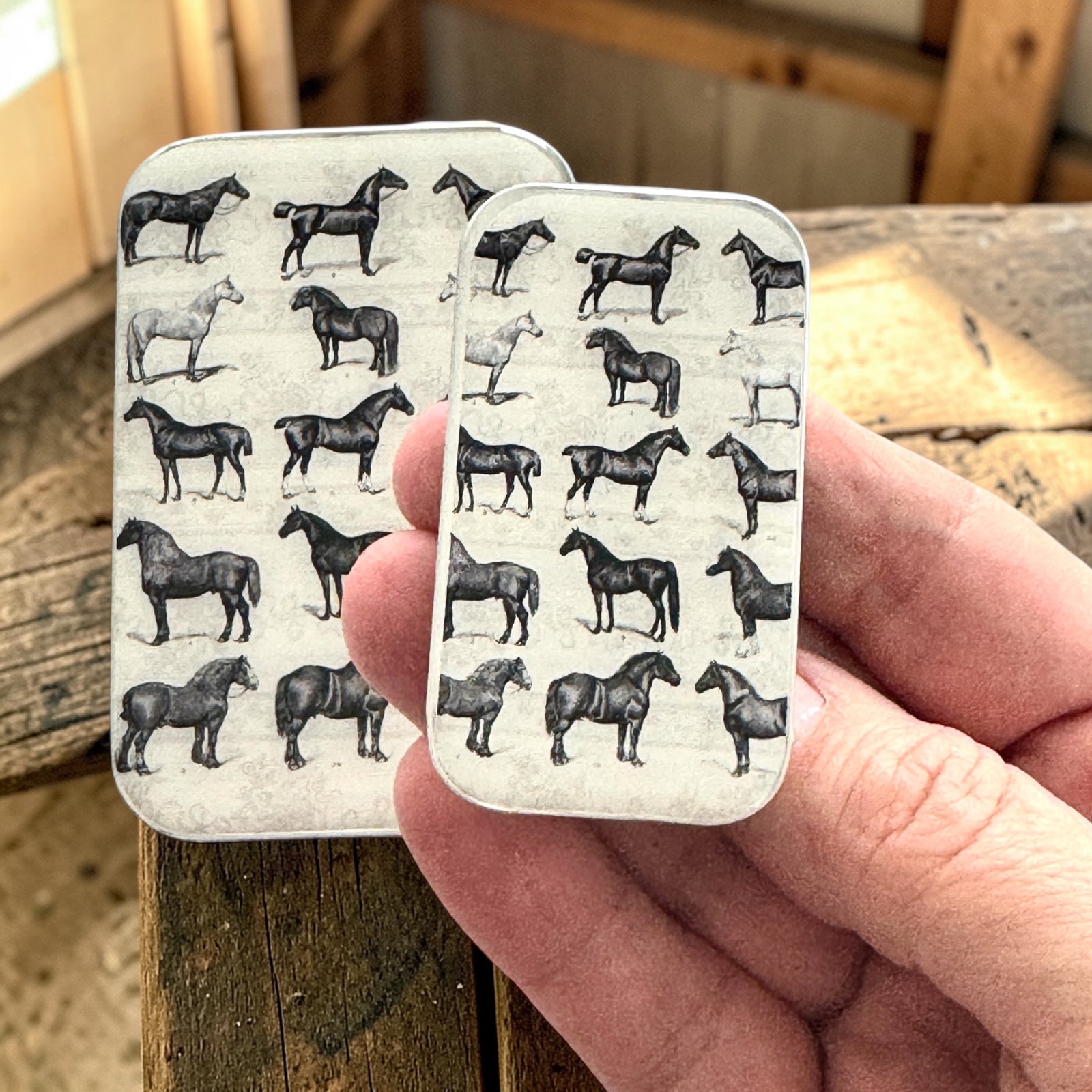 Study of Horses Notions Tin