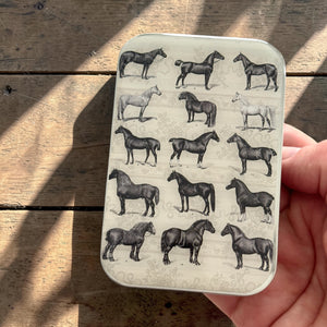 Study of Horses Notions Tin