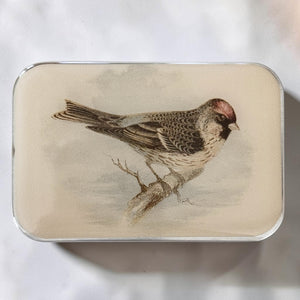 Redpoll Bird Notion Tin