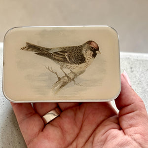 Redpoll Bird Notion Tin