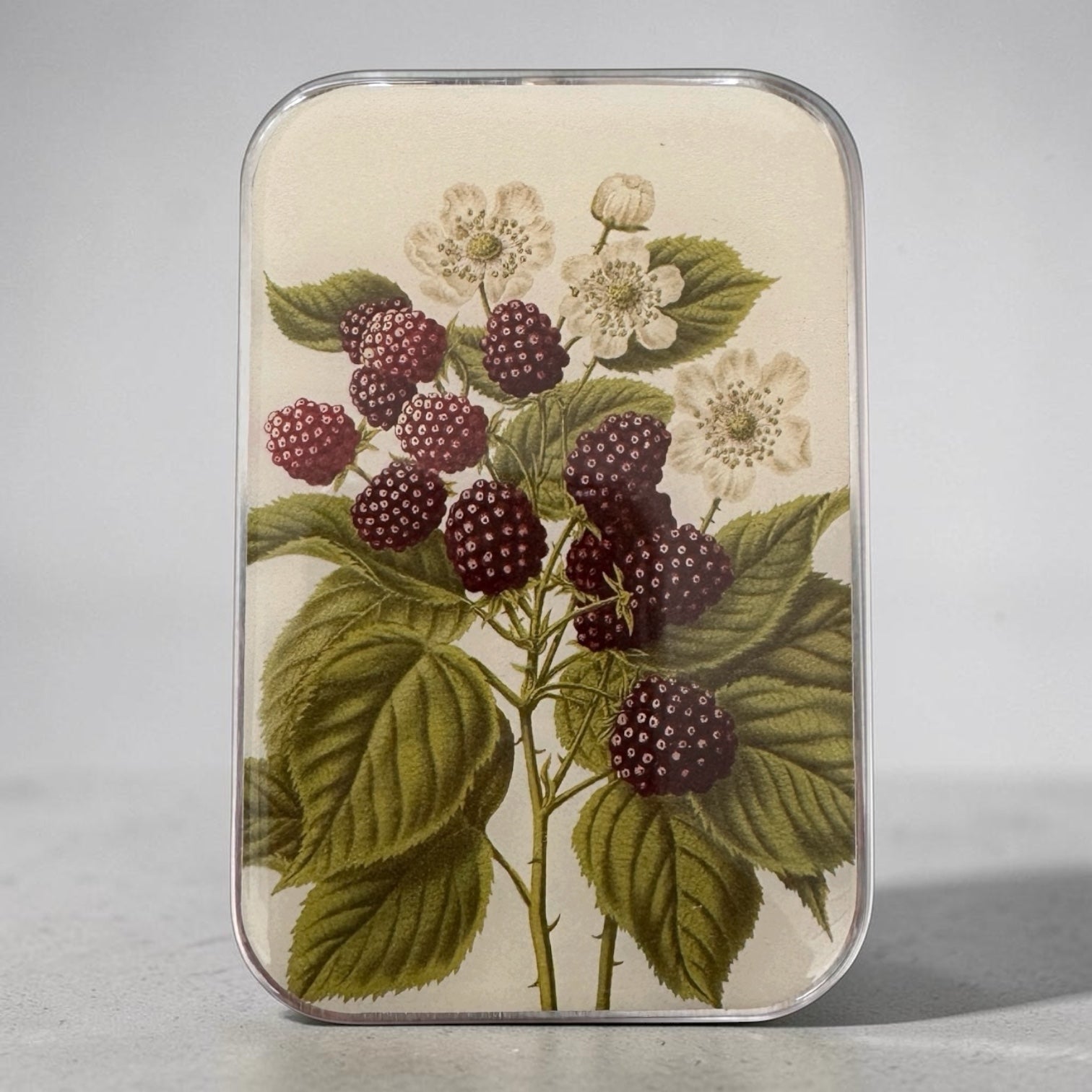 Wild Blackberry Botanical Tin