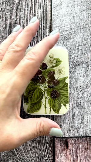 Wild Blackberry Botanical Tin