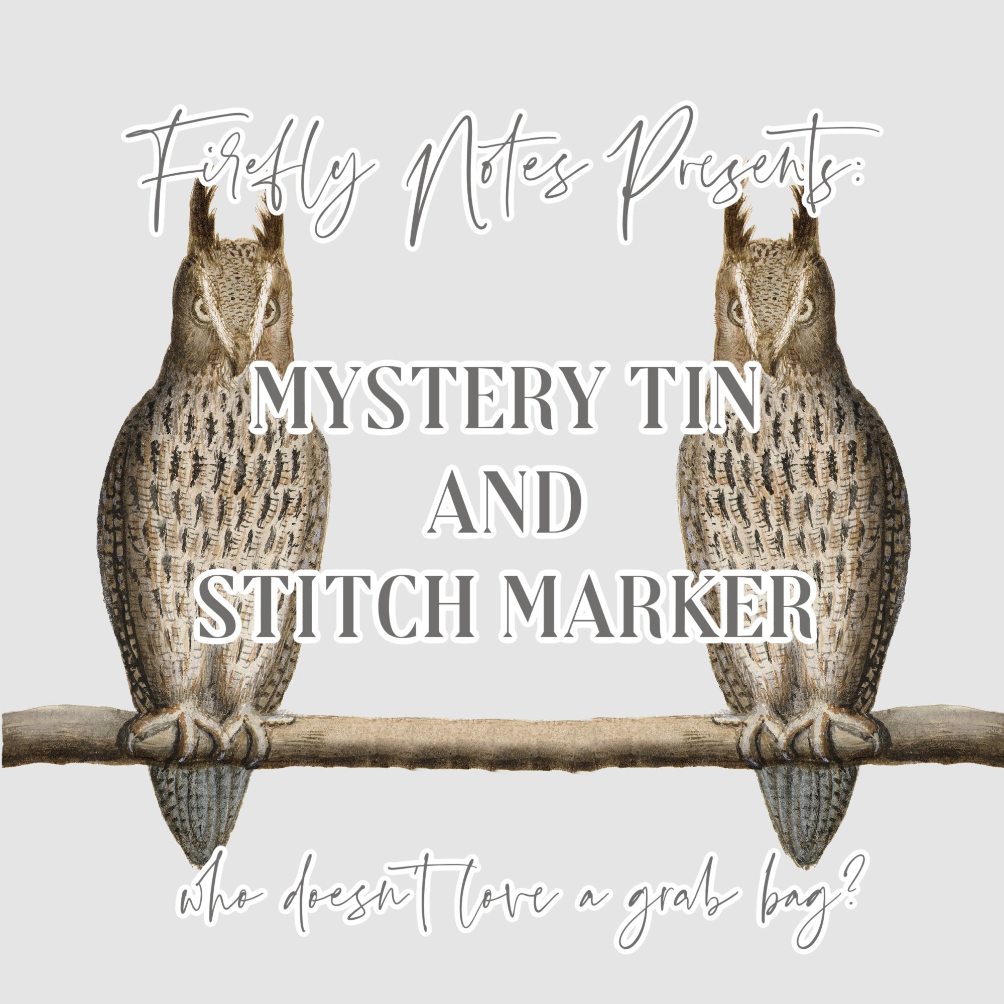 Mystery notions tin and stitch marker