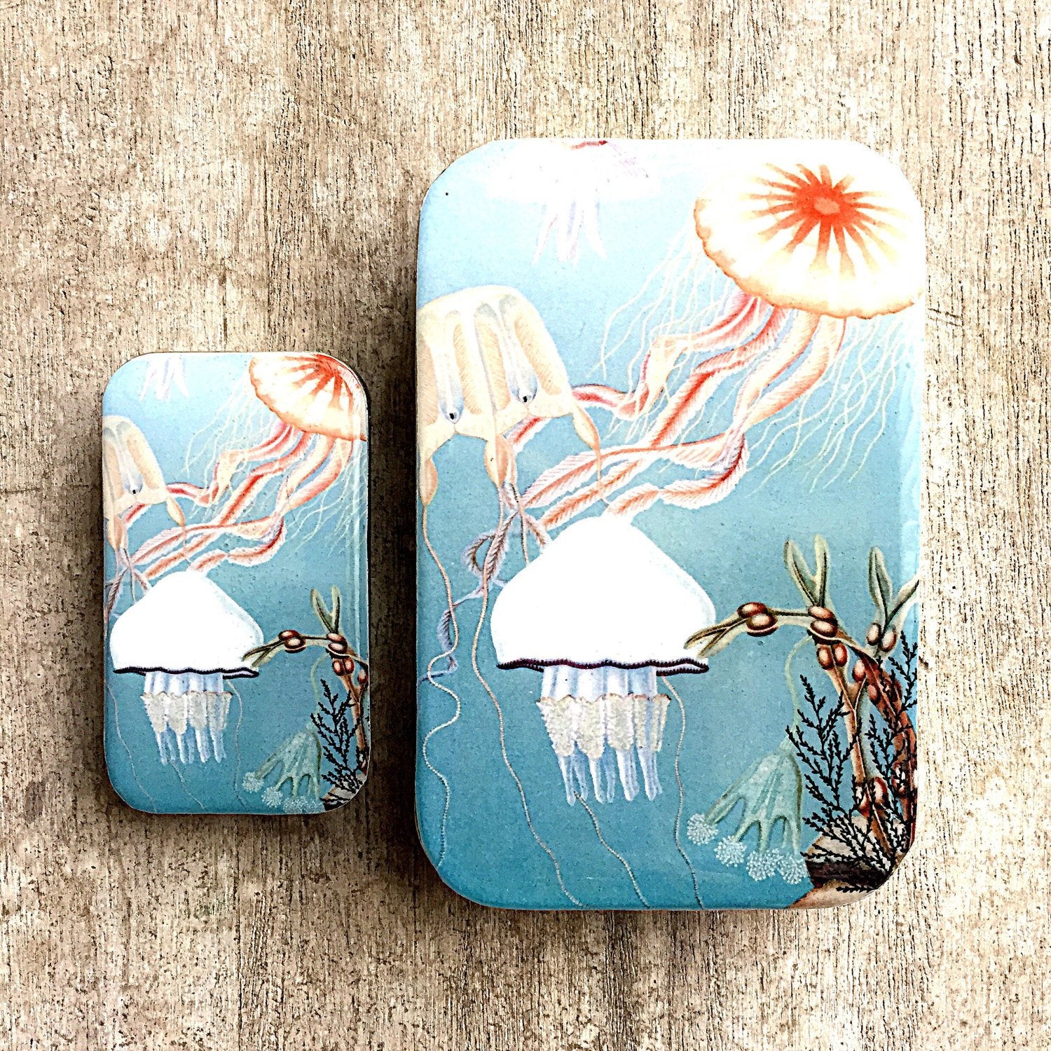 Jelly fish storage tin (034)