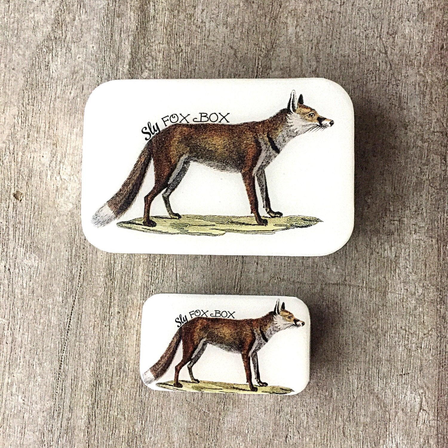 Sly fox tin (024)