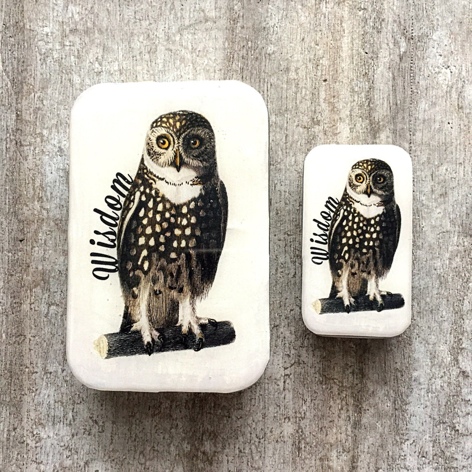 Wise owl tin notions tin