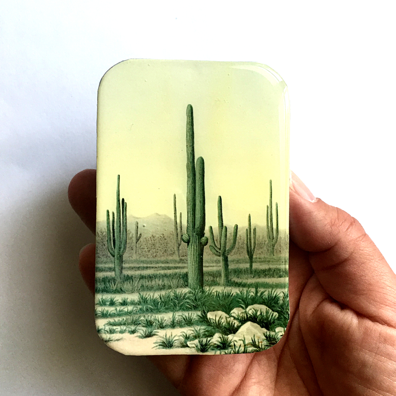 Desert Cactus tin (009)