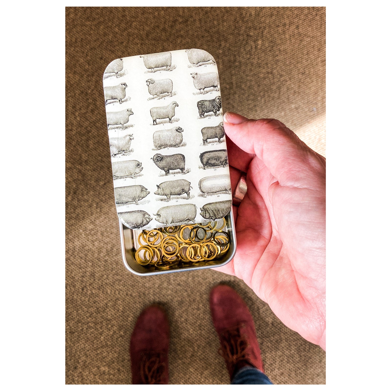 Sheep and pigs notions tin