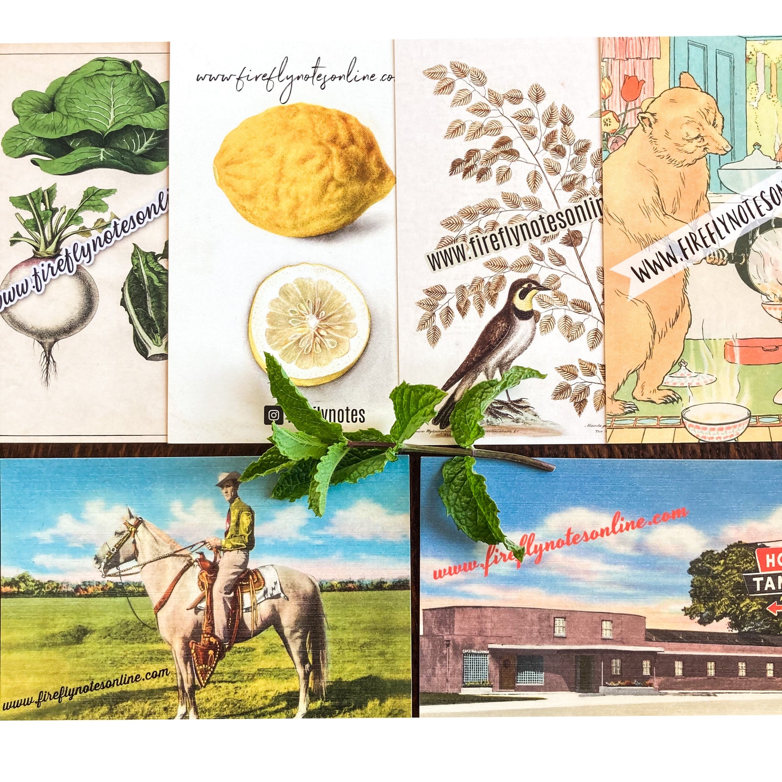 Firefly Notes recipe cards