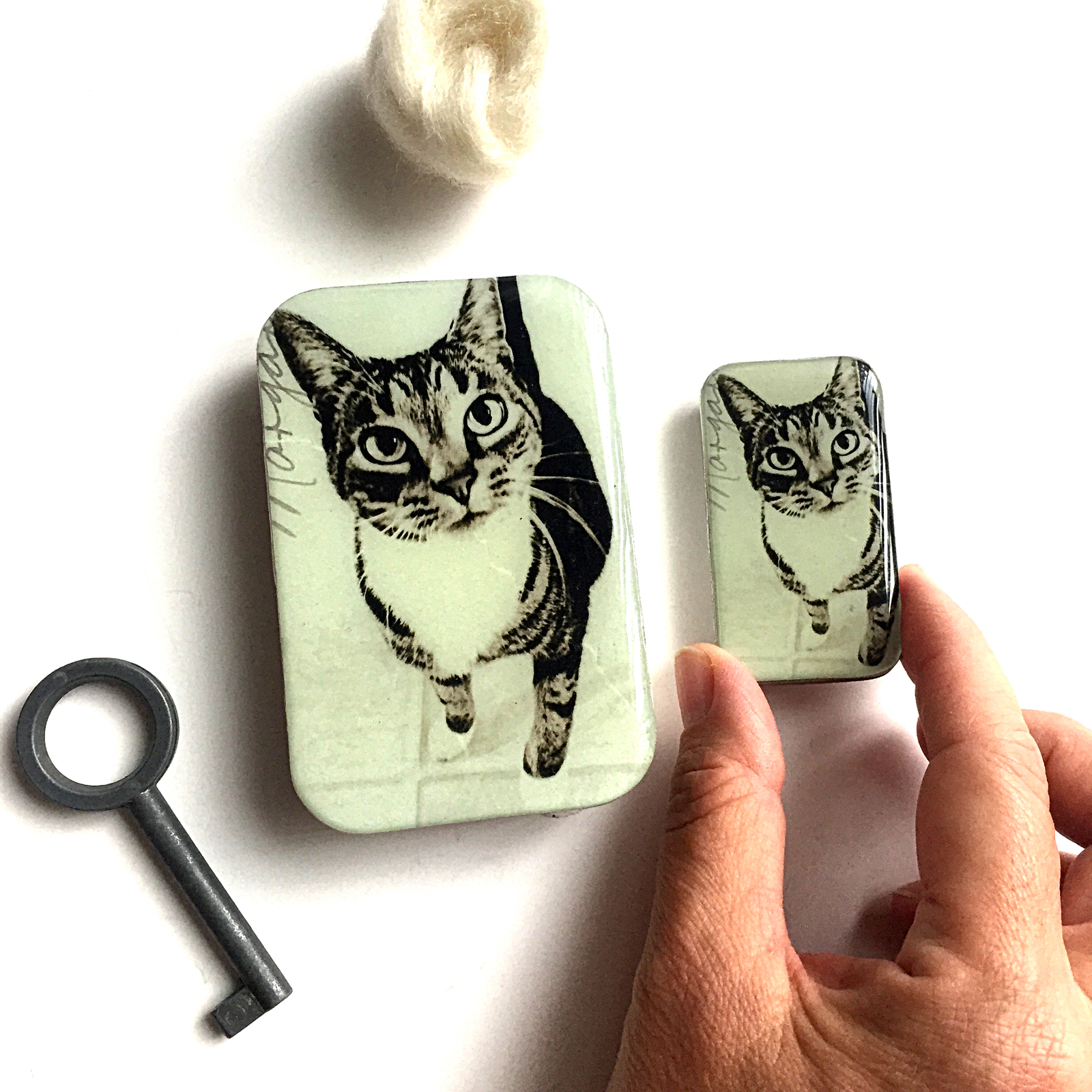 Mona Cat Notion tin